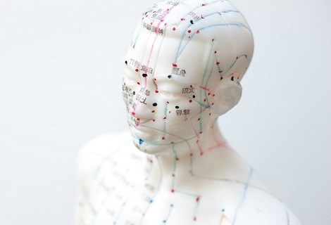 Image shows a model acupuncture statue from the chest up with acupuncture meridians and points labelled